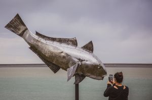 Todo listo para la VIª Fiesta Nacional del Róbalo en Puerto Santa Cruz