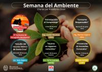 #AccionesVerdes: Desarrollaran un importante cronograma de actividades en la “Semana del Ambiente”