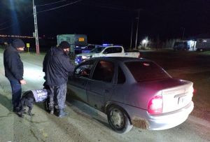 De manera articulada se intensifican operativos de control en Puerto San Julián