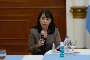 Ludueña: “Es un paso más en la lucha contra la violencia”