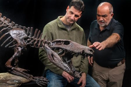 Investigador del Conicet presentará nuevo hallazgo paleontológico en Santa Cruz