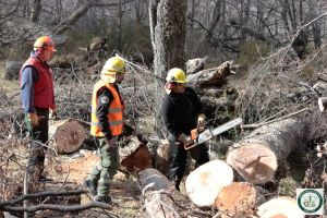 Avanza el programa de fortalecimiento de las brigadas de incendios de la Provincia
