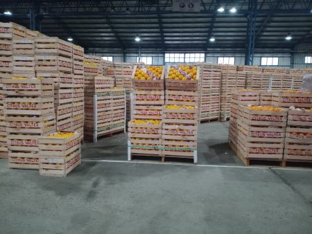 Hot Sale del Mercado Concentrador Patagónico.