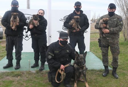 La División Canes de la Policía de Santa Cruz presentó a cuatro nuevos integrantes