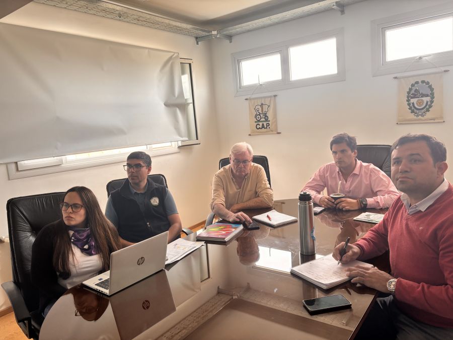 Plan de Manejo del Guanaco: el Estado provincial fortalece la gobernanza y el control del recurso