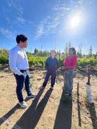 El Consejo Agrario Provincial recorrió el viñedo de Caleta Olivia y destacó el acompañamiento a la producción