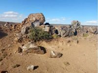 Exploración en El Dorado Monserrat confirma alto potencial y abre paso a una posible alianza con FOMICRUZ