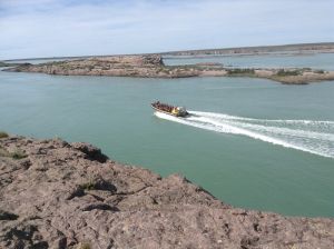 Santa Cruz inaugura temporada de cruceros a pura naturaleza