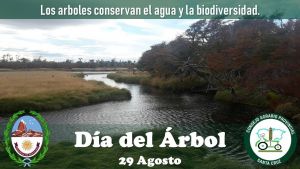 Hoy se celebra el “Día del Árbol”