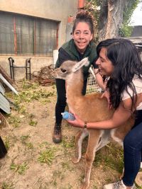 El CAP rescató a un chulenguito que estaba retenido en condiciones irregulares en Río Gallegos