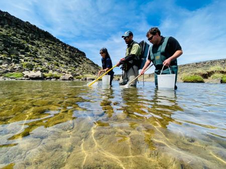 La Secretaría de Pesca continúa el estudio de peces en el Cardiel