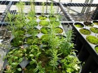 El Calafate celebra el Aniversario de Consejo Agrario Provincial con una propuesta ambiental