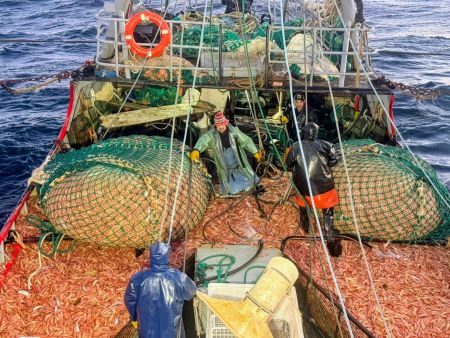 Santa Cruz se prepara para una nueva zafra: el 26 inicia la prospección de langostino
