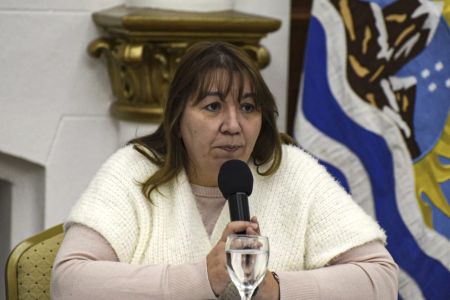 Niñez: “Siguen vigentes los permisos de viaje para niños”, recalcó Hevia