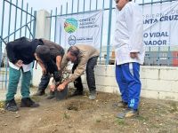 Se realizó jornada de forestación en la escuela 63 de Río Gallegos
