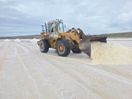 Vialidad Provincial inició la cosecha y acopio de sal para el Plan Invernal 2026