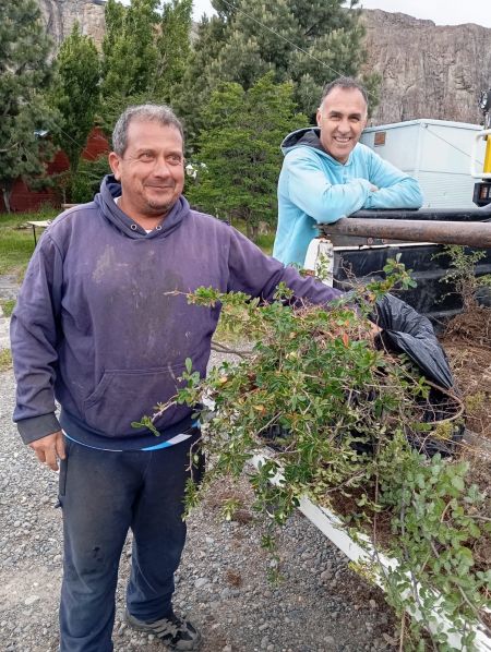 El CAP acompaña trabajos de recuperación de especies nativas en la ruta hacia el Lago del Desierto