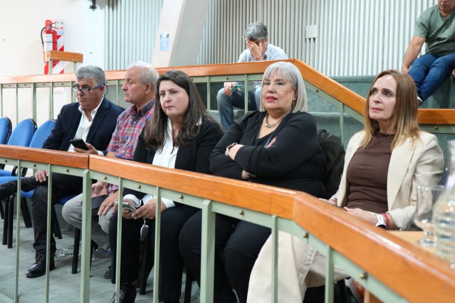 Santa Cruz sancion&oacute; la Ley de Emergencia Comercial, Industrial y PyME