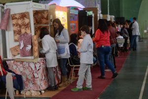 Feria de Ciencia: “La tarea del evaluadxr en ésta instancia es muy importante”