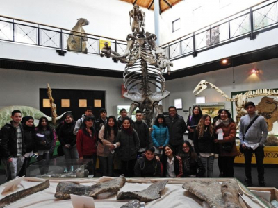 Alumnos del Colegio Secundario N° 19 recorrieron la Sala de Paleontología del Museo Molina