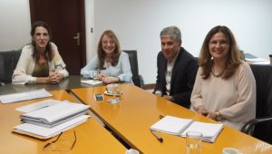 Alicia: “Tenemos que entender a la vivienda como un bien social”