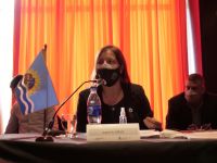 El Consejo Federal de Seguridad Vial solicitará al Congreso el tratamiento de Alcohol Cero