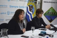 Presentaron el informe anual de siniestralidad vial de Santa Cruz