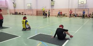 Se realizó una exhibición de deportes adaptados para personas ciegas y con disminución visual