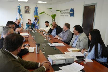 El Comité de Vigilancia de Zonas Francas cerró el año con una nueva reunión en Río Gallegos