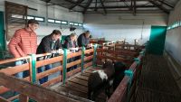El CAP entregó alimento balanceado a la Escuela Agropecuaria Provincial N°1 de Gobernador Gregores