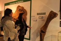 El Complejo Cultural abrió sus puertas en la Noche de los Museos