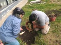 Se plantó flora nativa en el Complejo Cultural en el marco de los 100 años de la Rebelión