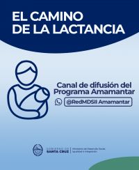 Políticas públicas y educación: claves del programa amamantar para la lactancia