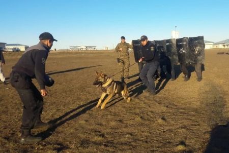 Capacitación de Primeros Auxilios básicos y avanzados en curso de la División Canes