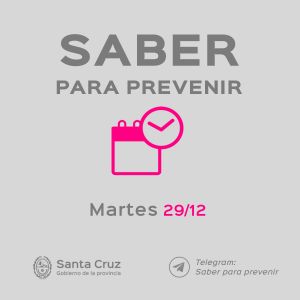 Saber Para Prevenir | Informe Epidemiológico | Martes 29 de Diciembre