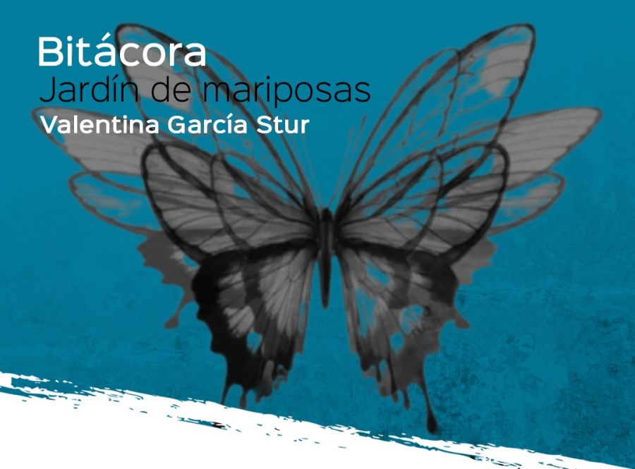 Se presentará “Bitácora: Jardín de Mariposas” de Valentina García Stur