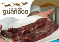 El Gobierno Provincial continua potenciando la industria de la carne de guanaco