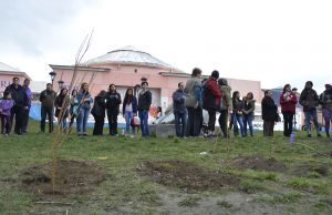 En el día de la primavera se plantaron árboles en el Complejo Cultural