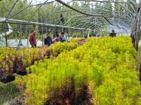  Se realizó jornada de trabajo para fortalecer la produccion forrajera en Los Antiguos.