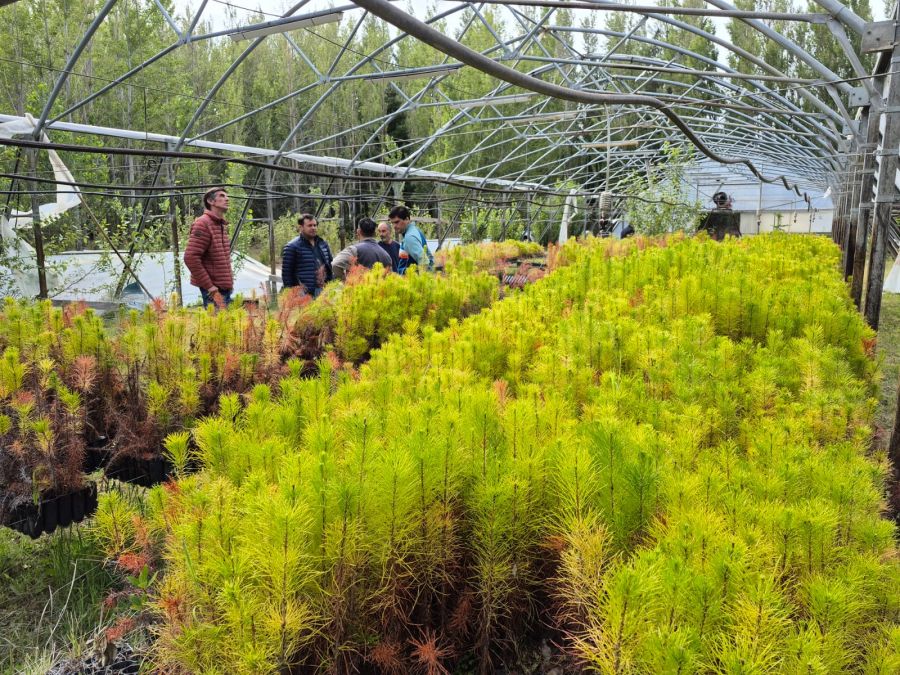 El CAP acompaña la producción forrajera en Los Antiguos