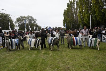 El Gobierno de Santa Cruz calificó de sesgada la posición del presidente de la Sociedad Rural Argentina