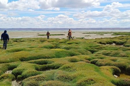 Amplio despliegue institucional en la búsqueda de Gabriel Mileca