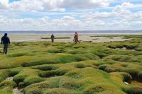 Amplio despliegue institucional en la búsqueda de Gabriel Mileca