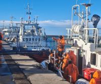 Continúan con éxito las descargas de langostino en Puerto Deseado