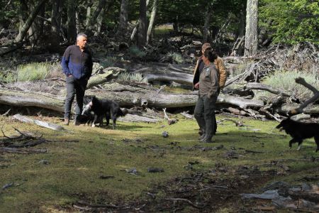 Control forestal en Tucu Tucu: el CAP refuerza fiscalización y advierte sobre sanciones