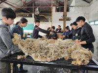 Estudiantes de la Escuela Agropecuaria N° 1 participaron del curso sobre Acondicionamiento y Esquila