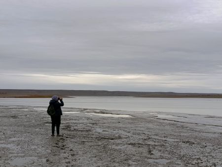 Jornada de observación y registro en el área de Puerto Coig.