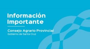 Comunicado de Prensa