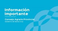 Comunicado de Prensa