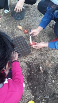 Educación pone en marcha un proyecto de reforestación en las Escuelas Rurales